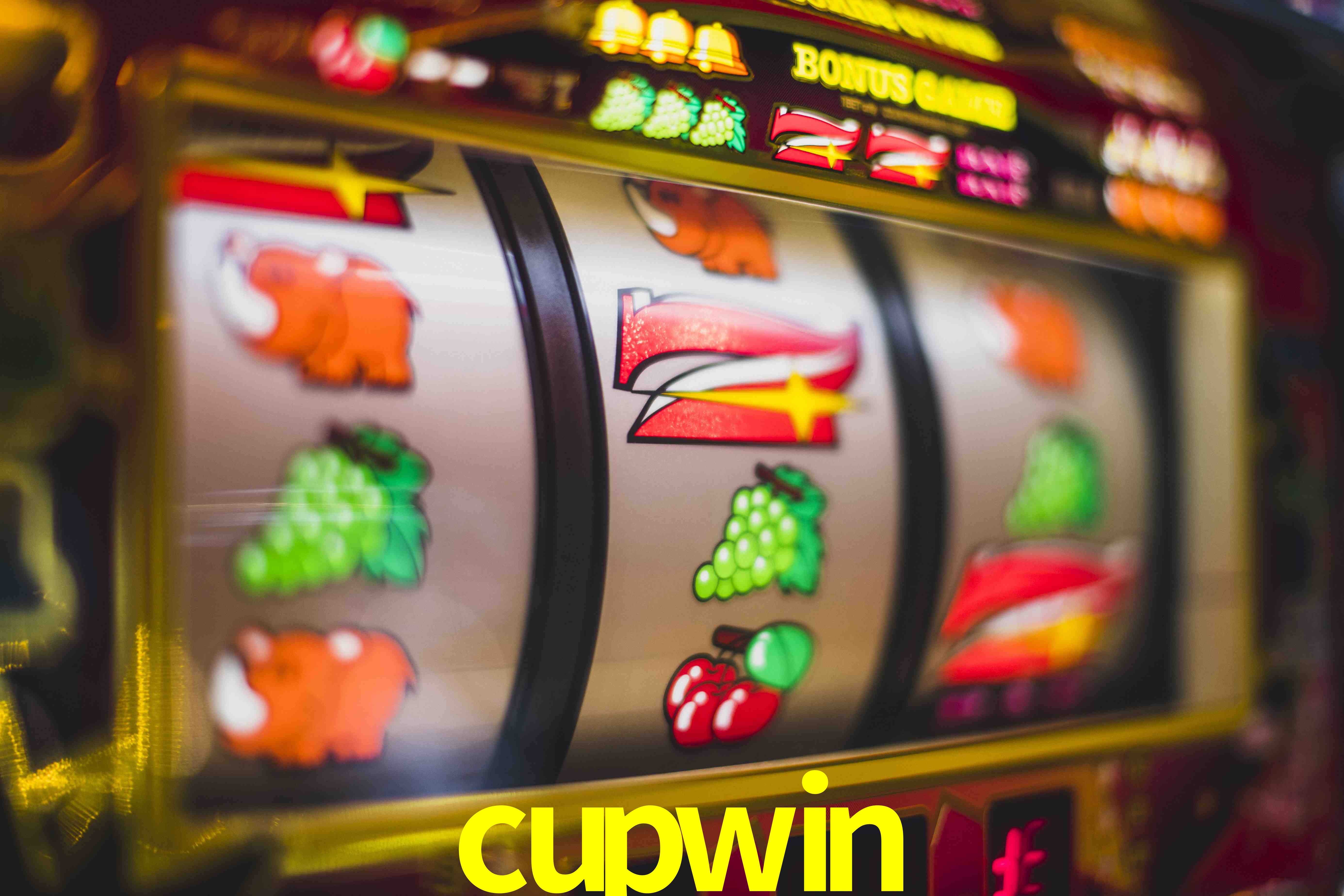 Tennis Betting cupwin